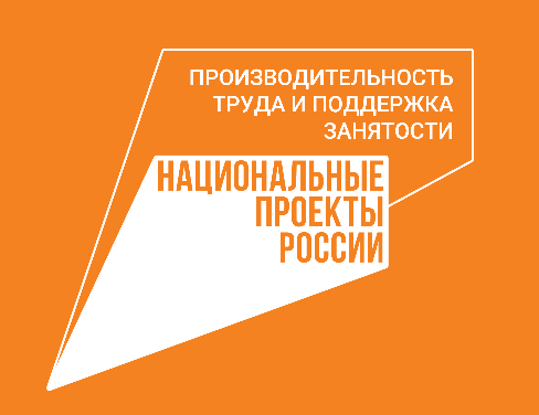 Нижегородцы стали участниками межрегионального хакатона антикризисных решений нацпроекта "Производительность труда"